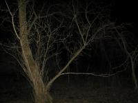 Chicago Ghost Hunters Group investigates Bachelors Grove (1).JPG